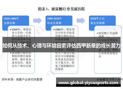 如何从技术、心理与环境因素评估西甲新星的成长潜力